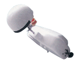 仿真肩體、頭模-B10023/4-醫(yī)學(xué)教學(xué)模型-口腔模型
